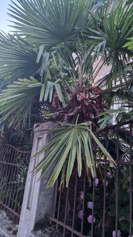 Apartman Roses Zagreb Bagian luar foto